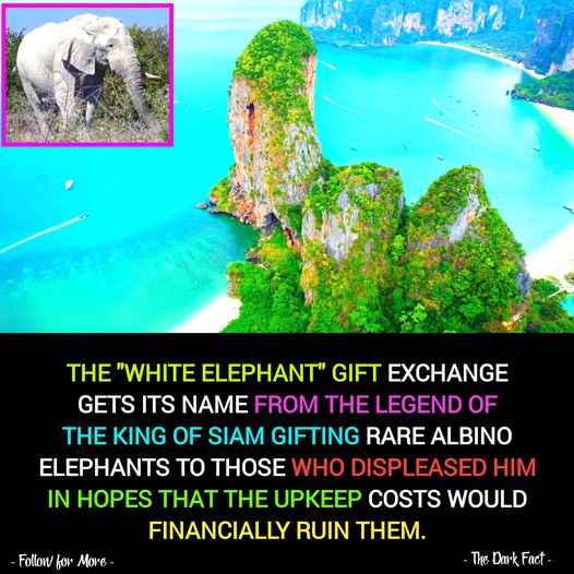 Did you know this interesting fact?