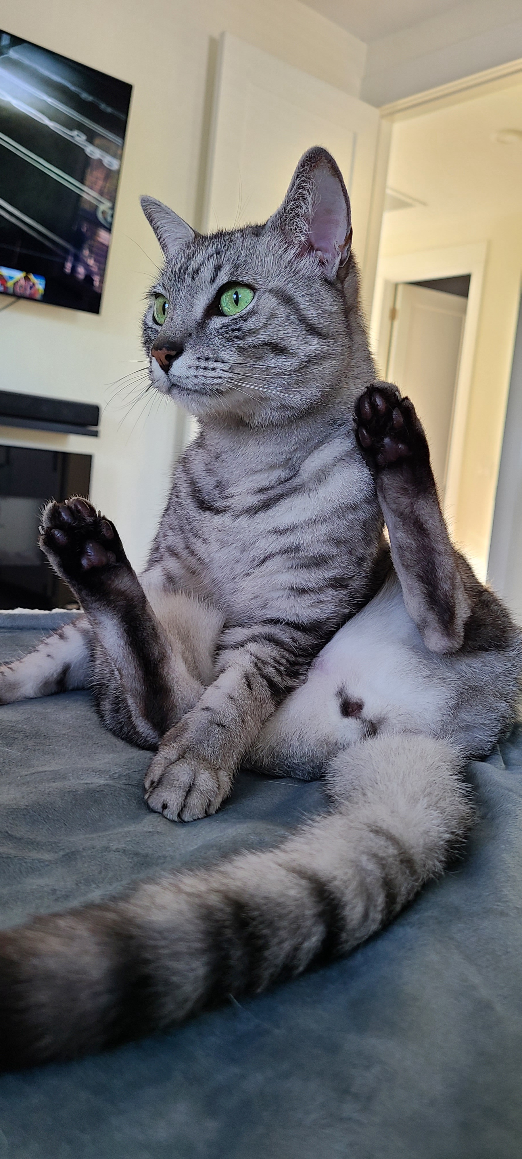 So much majesty, so much grace!