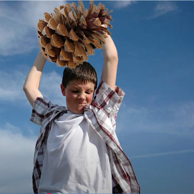 Pinecones on the Offensive!