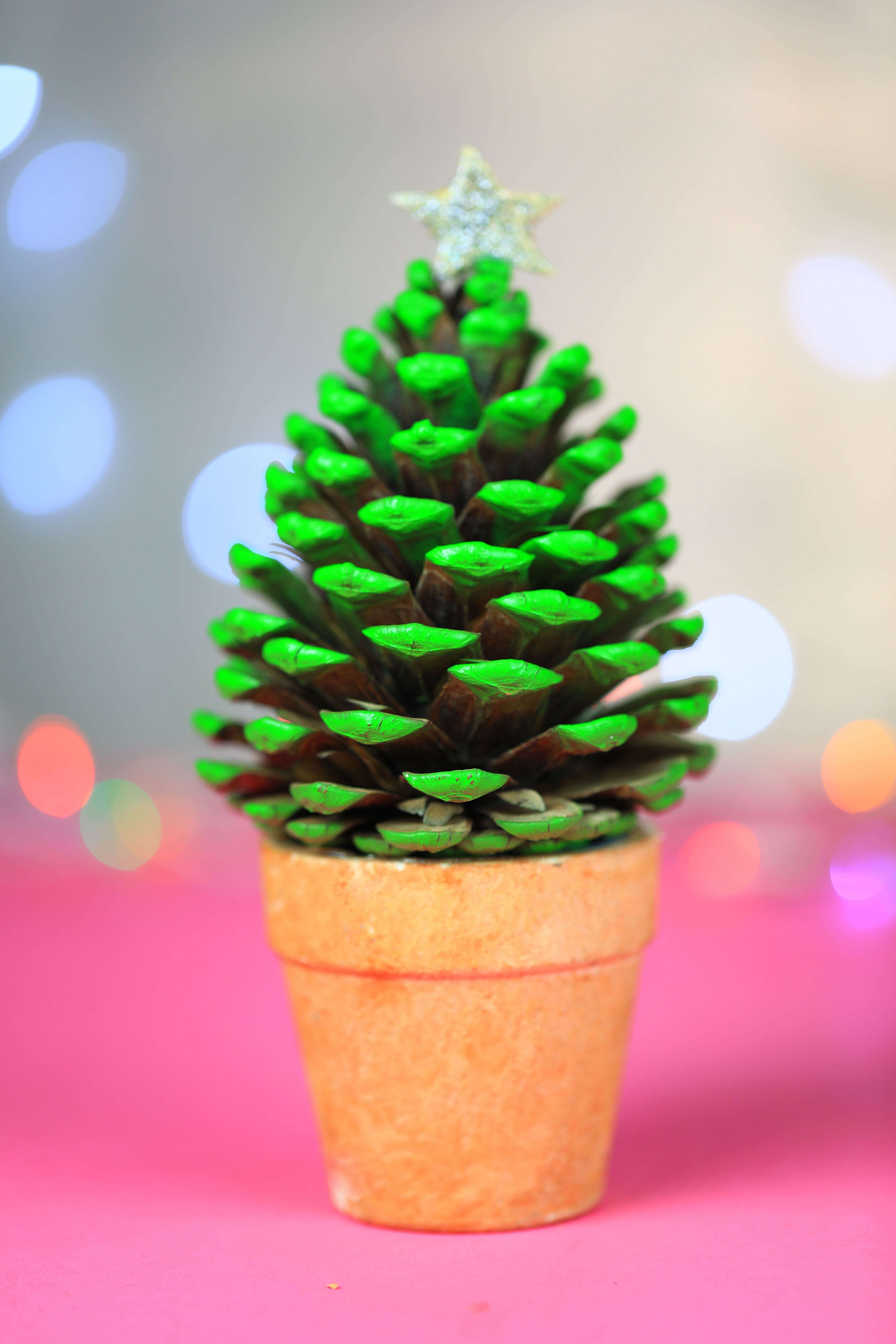 Wishing You a Merry Christmas: May the Pinecone Bless Your Holiday!