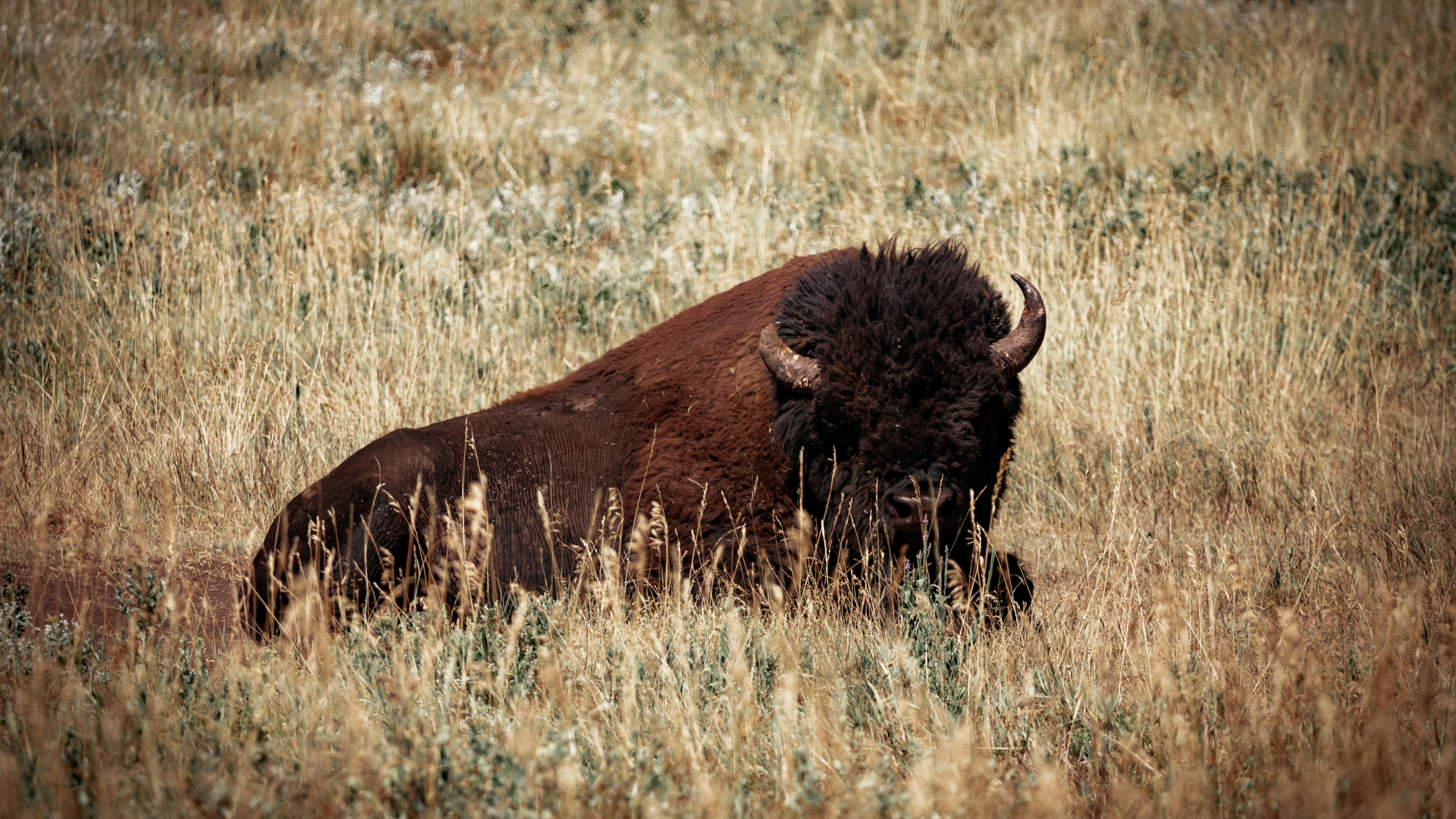 Exploring the wonders of a Wildlife Sanctuary