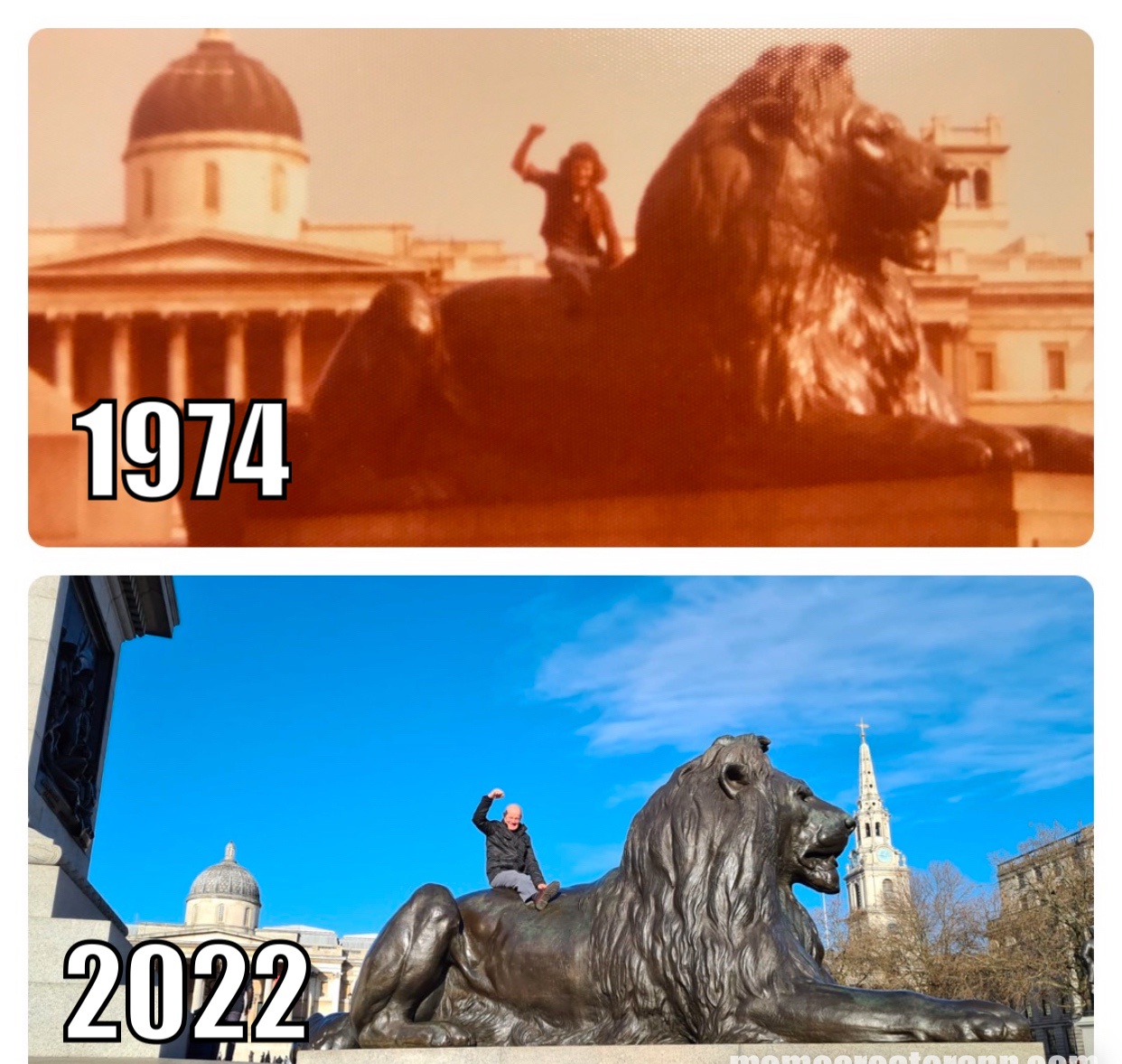 The Majestic Trafalgar Lions