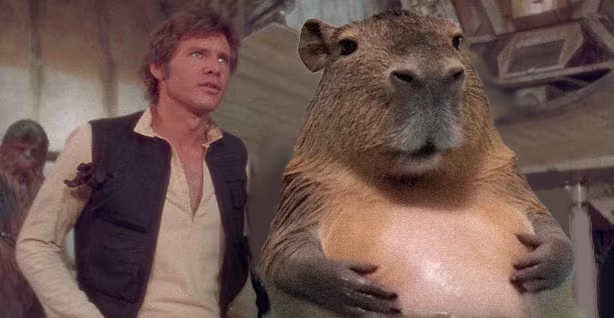 Come on, cut me some slack, Jabba the Capybara!