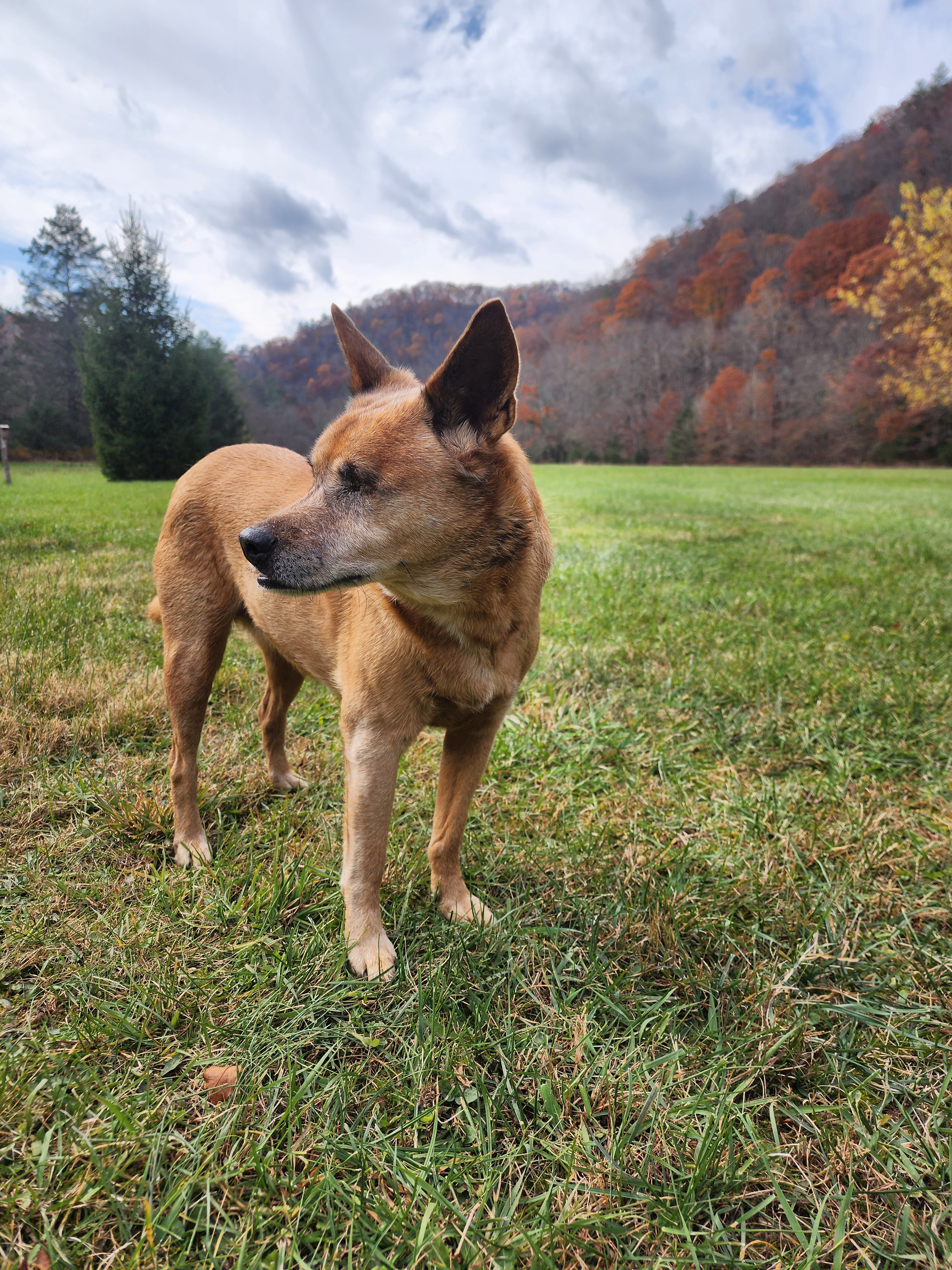 Meet Lahja: A Name with a Story