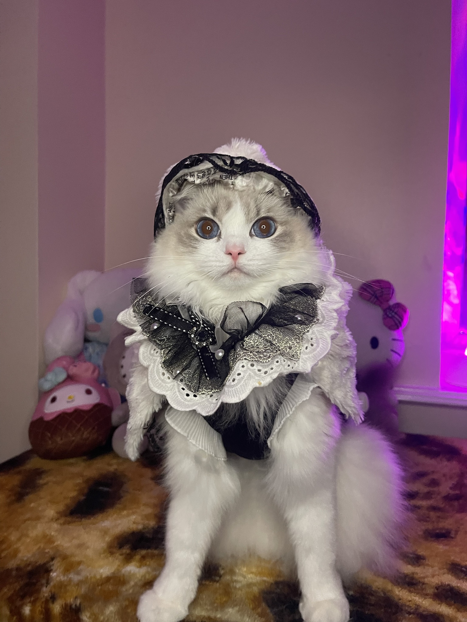 Twinkie's Magical Winter Fashion Showcase