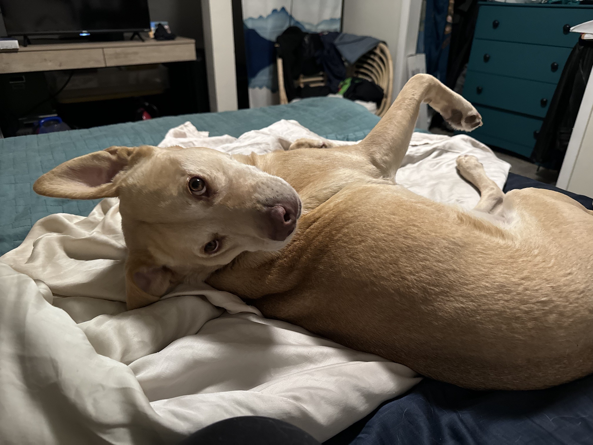 Hey! Why did you stop giving me all the love?