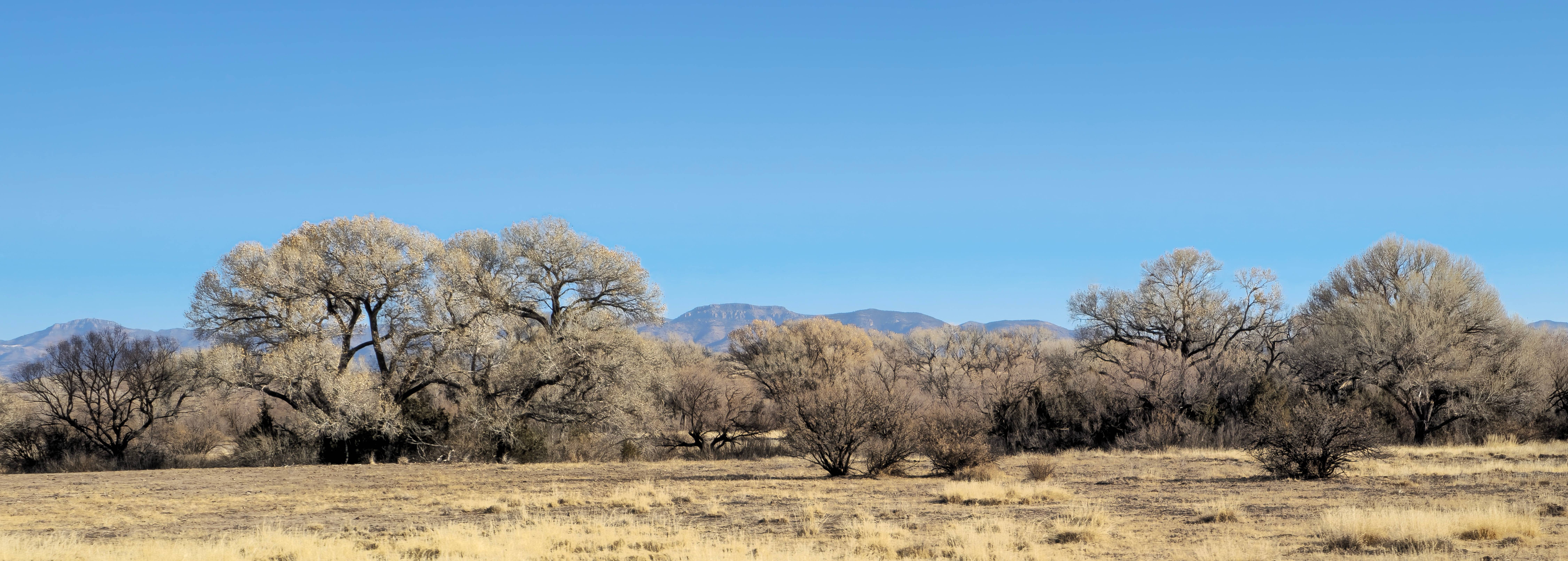 Stunning views from the road in Gila National Forest, New Mexico