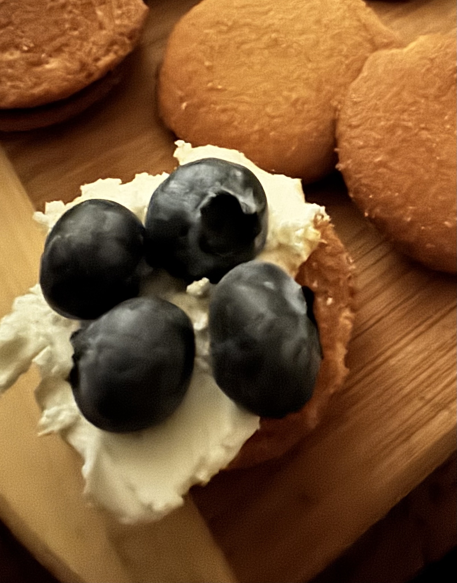 Delicious Duo: Vanilla Wafer, Cream Cheese, and Blueberries