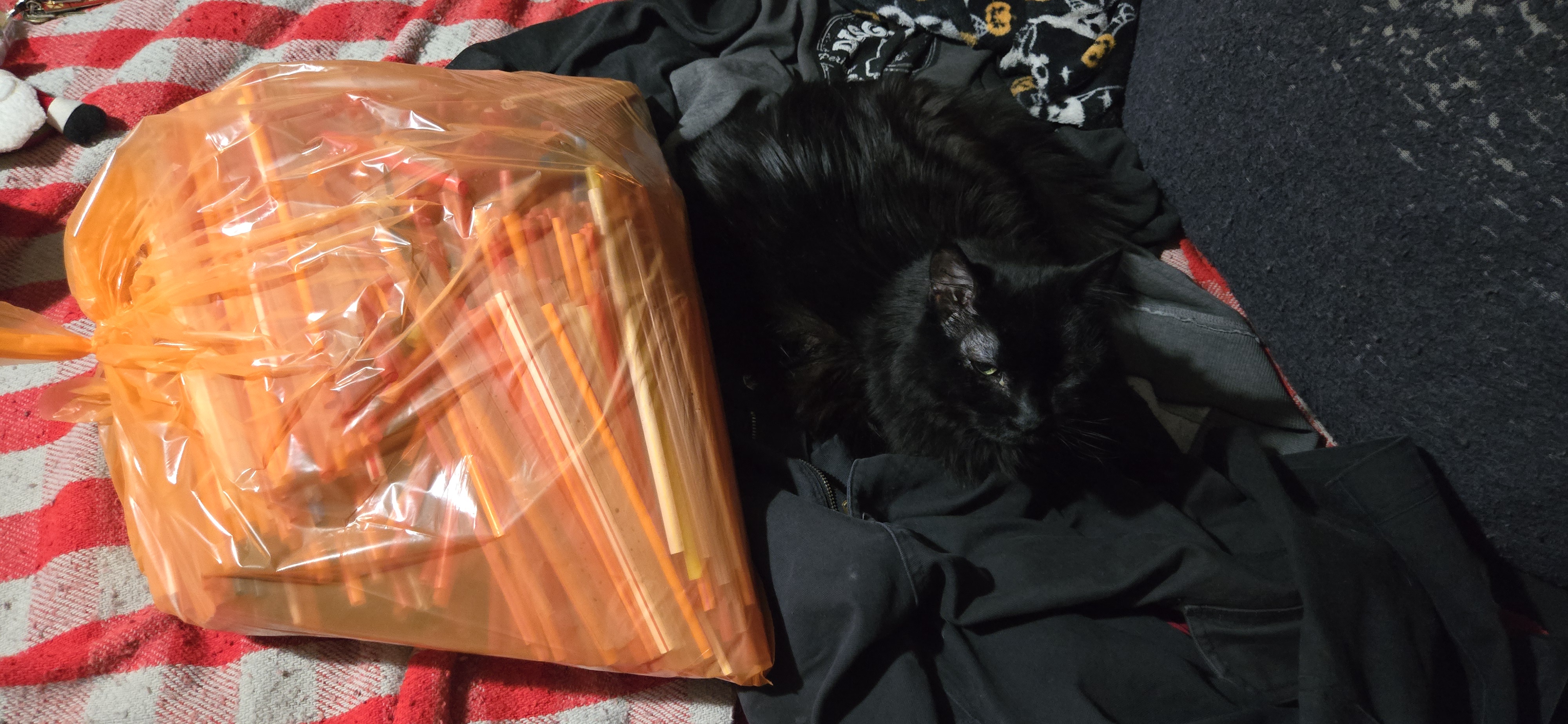 When You Have Too Many Straws for One Drink