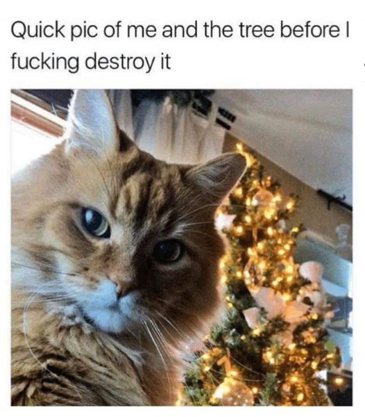 Bringing Orange Cheer to the Holiday Season