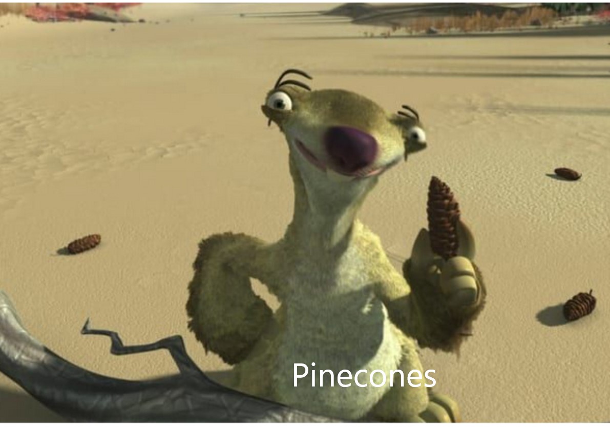 Oh, Look at Those Pinecones!