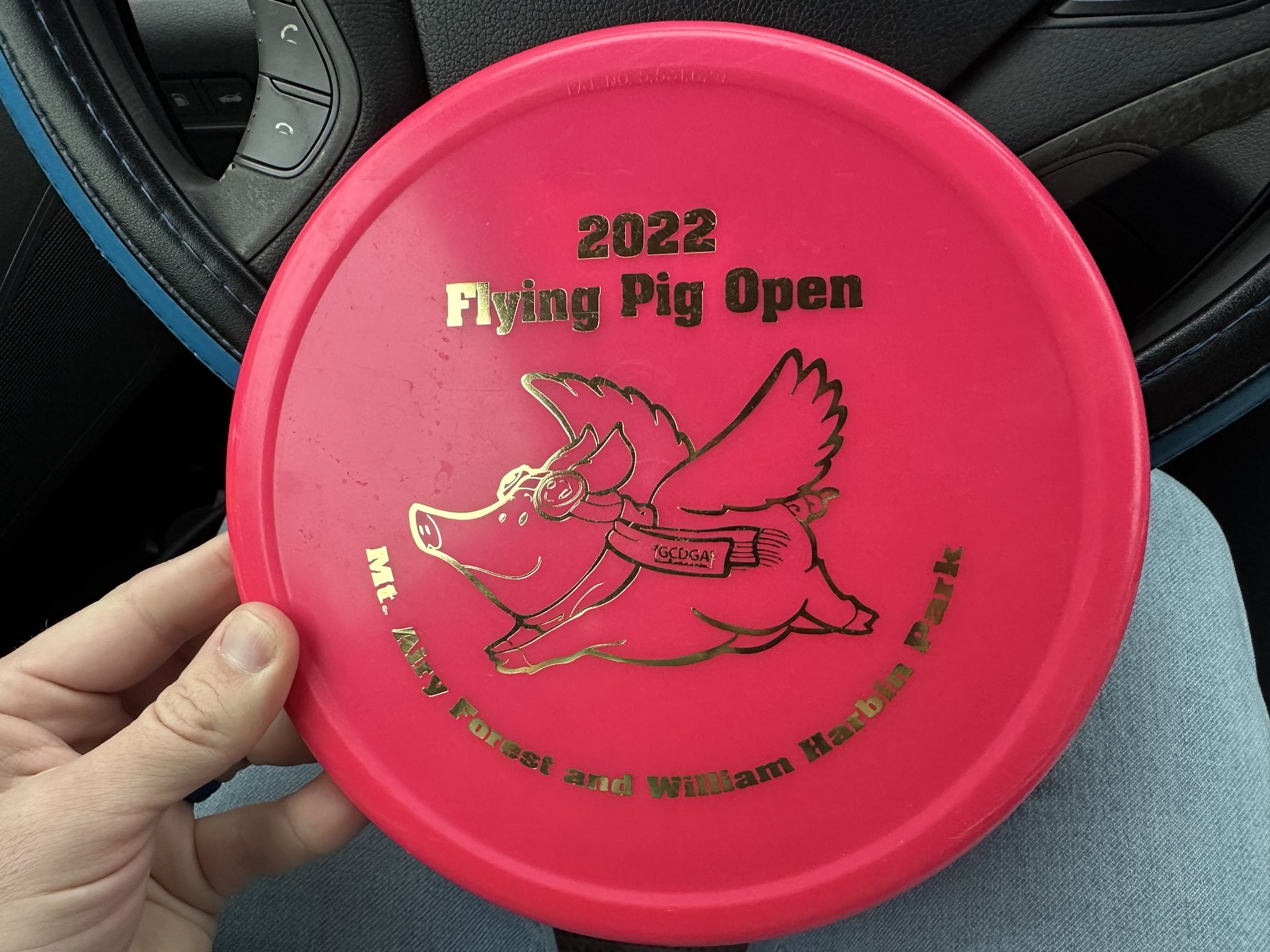 Meet R Pro Pig: The Ultimate Swine Sensation