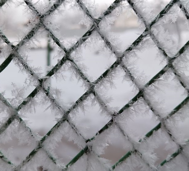 The Iced Fence: A Winter Wonderland or a Frozen Nightmare?