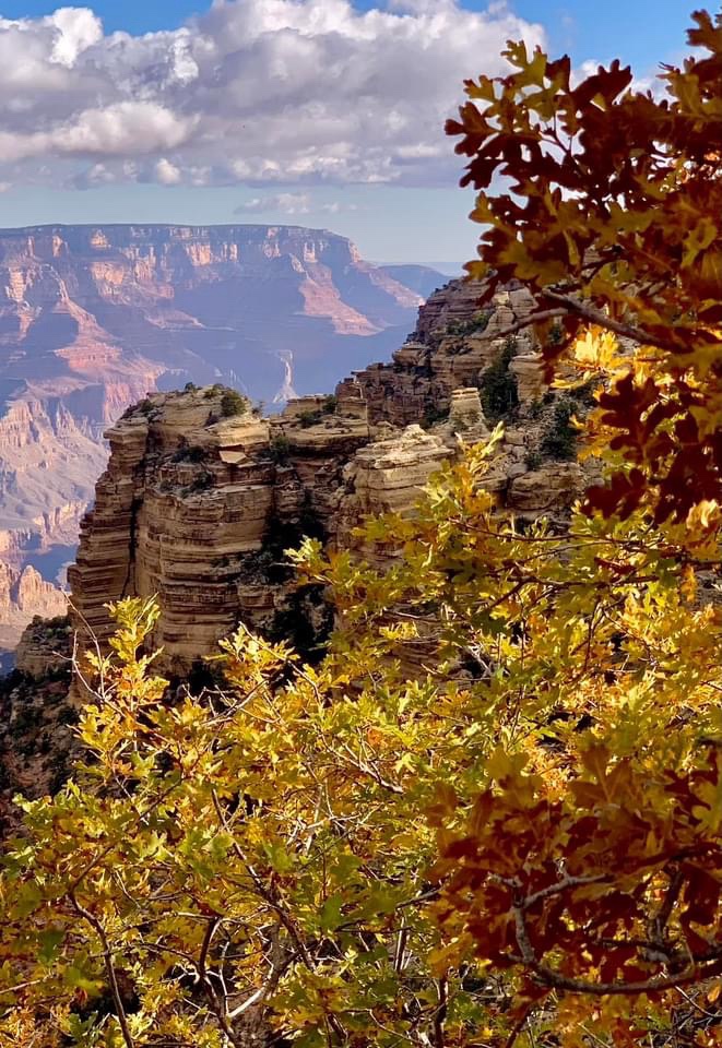 The Majestic Grand Canyon Awaits