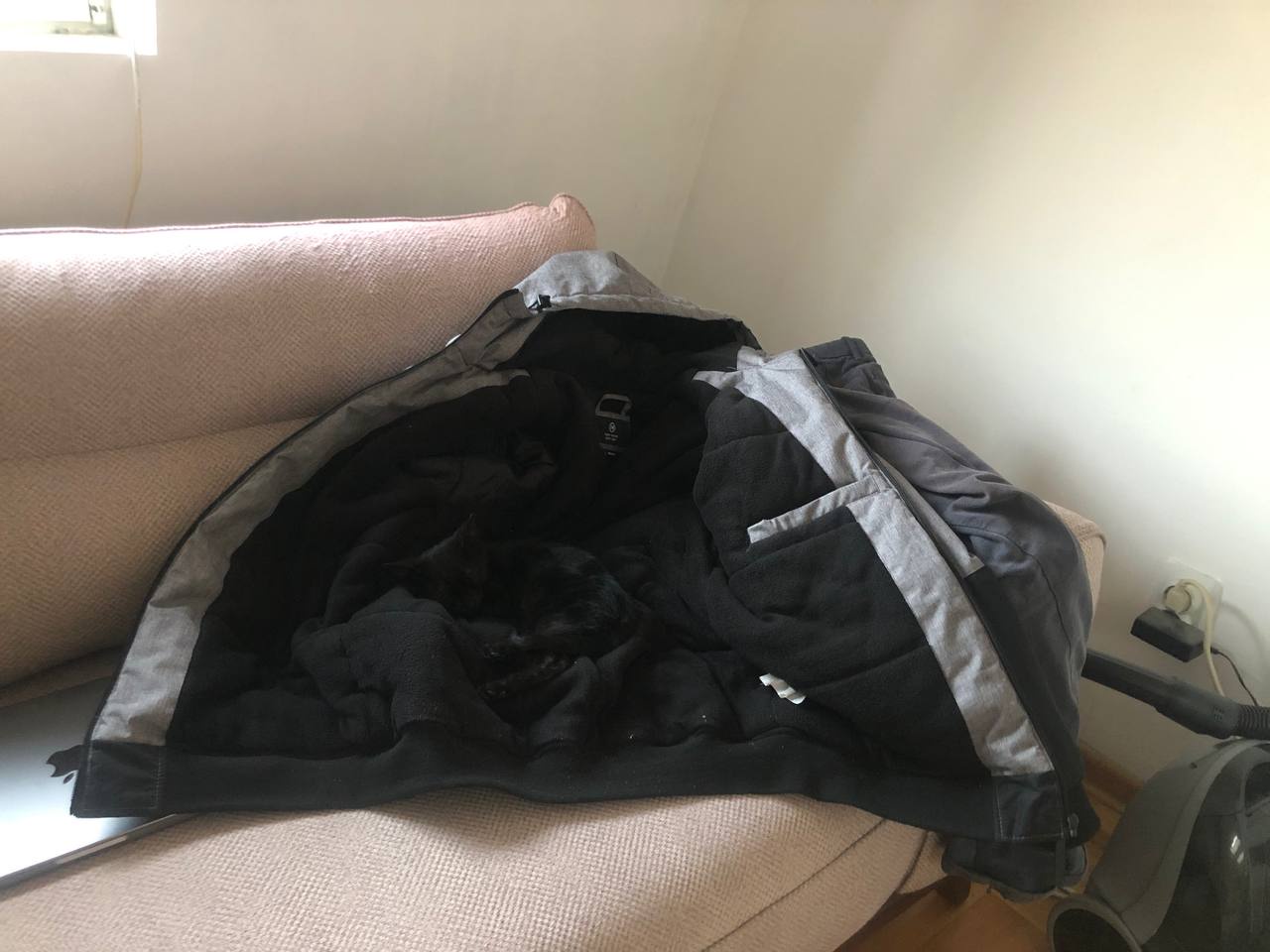 Your mission: Find the cat!