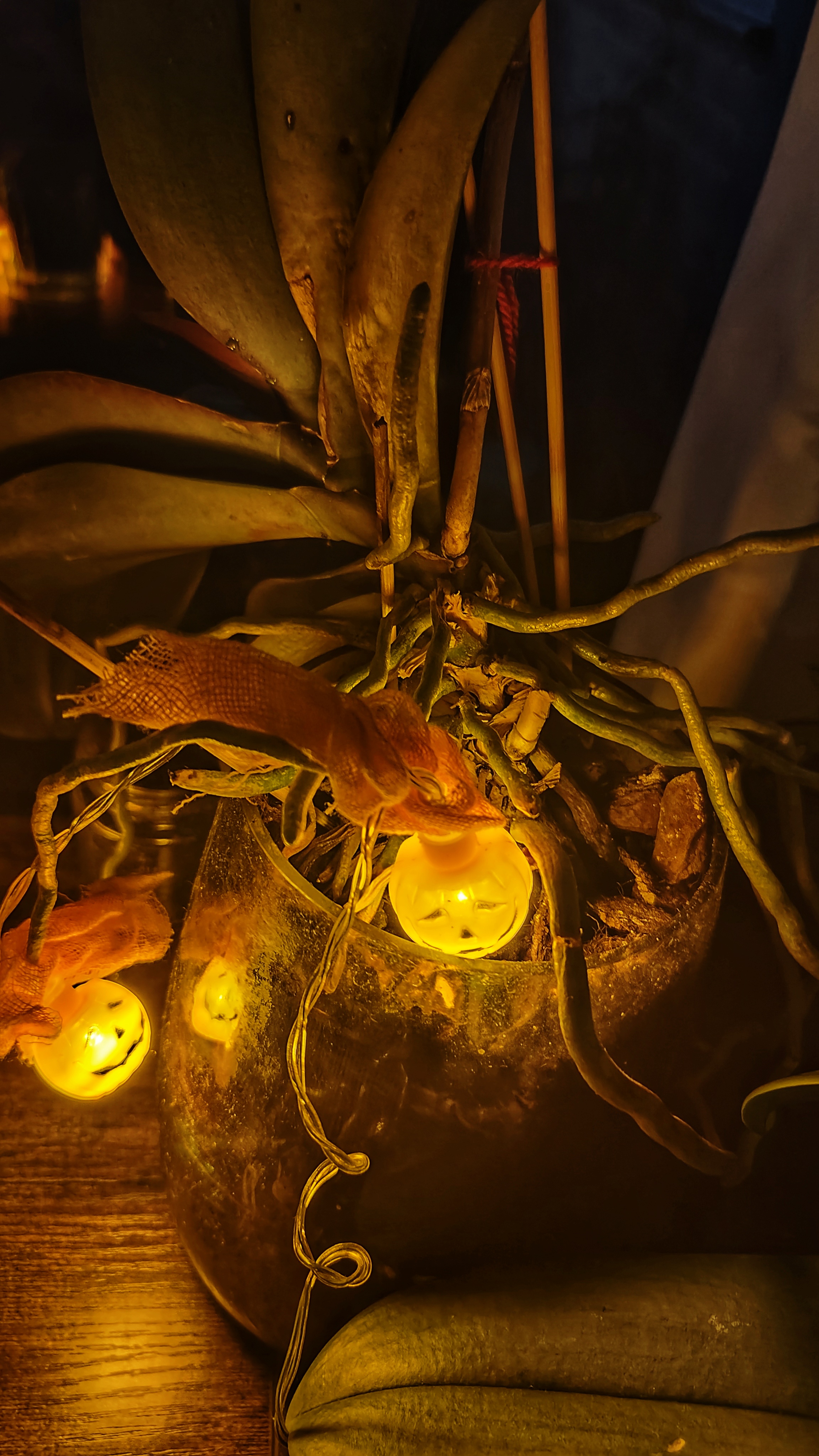 After devouring all the candy and turning the jack-o'-lantern into a casualty, here are some desk decorations to claim your free trophy!
