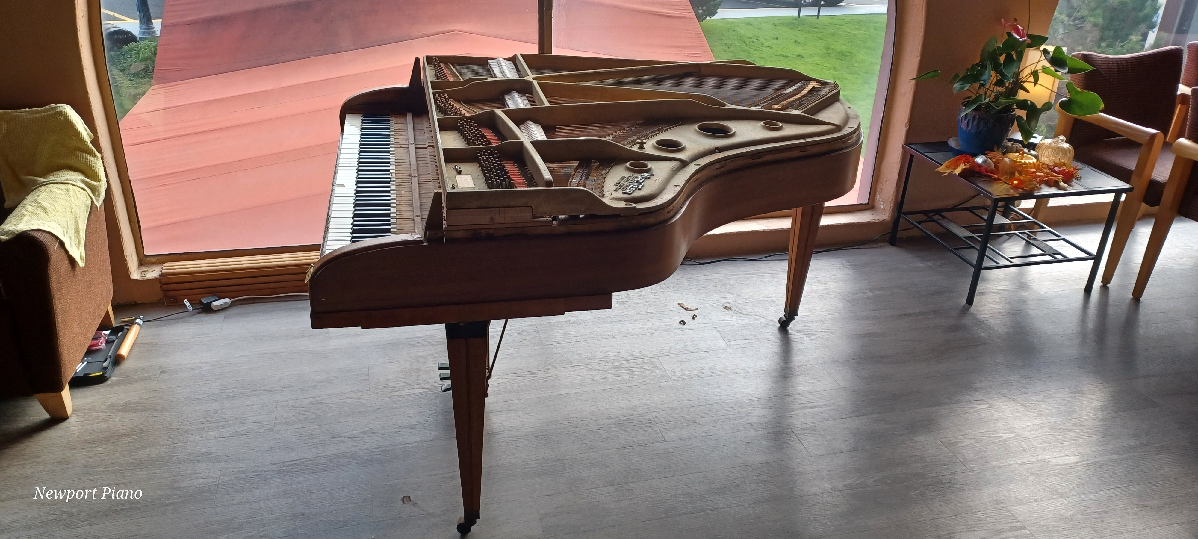 A day in the life of a Piano Tuner: Meet the Spooky Skeleton Piano!