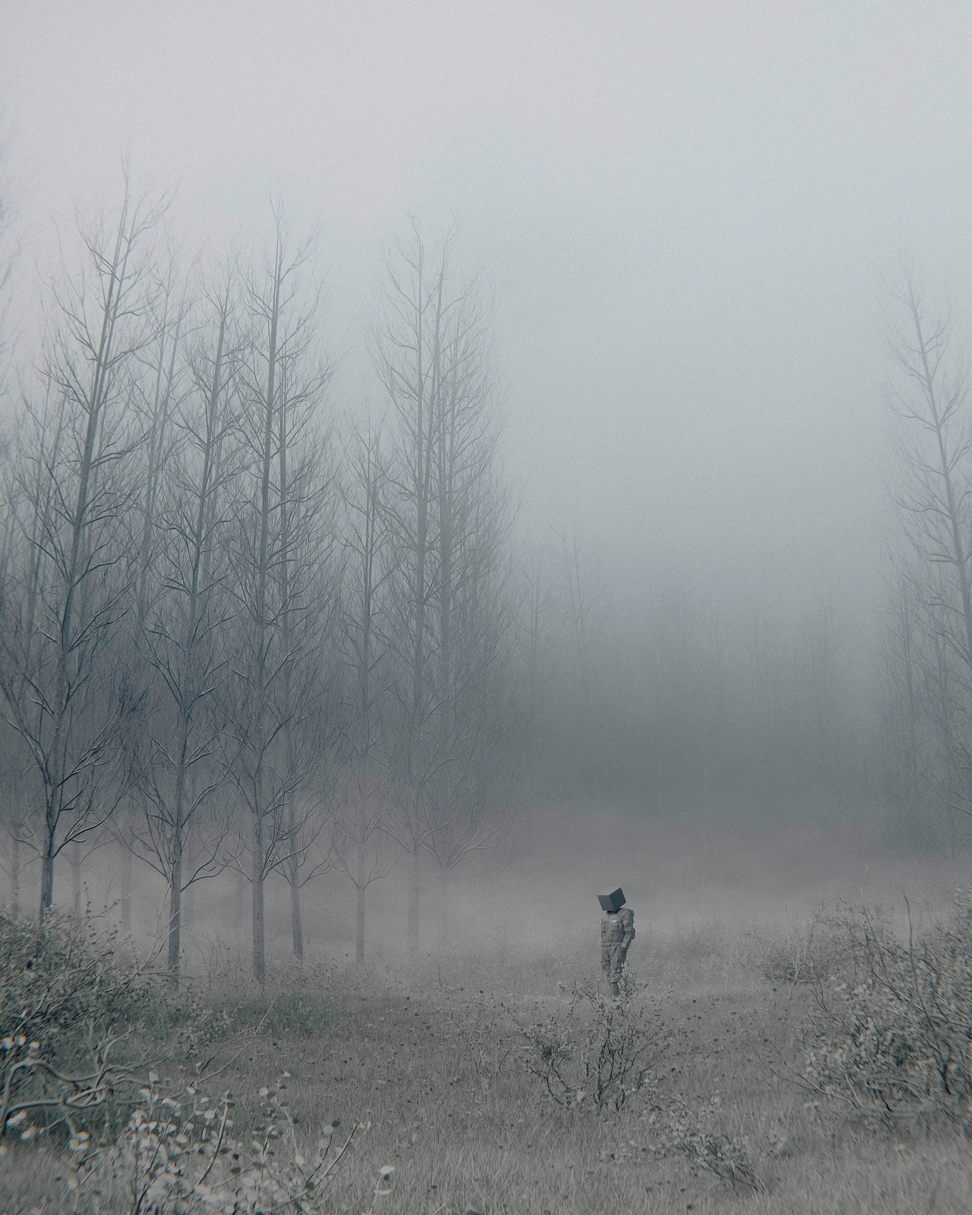 Navigating the Foggy Path Home, by Huleeb