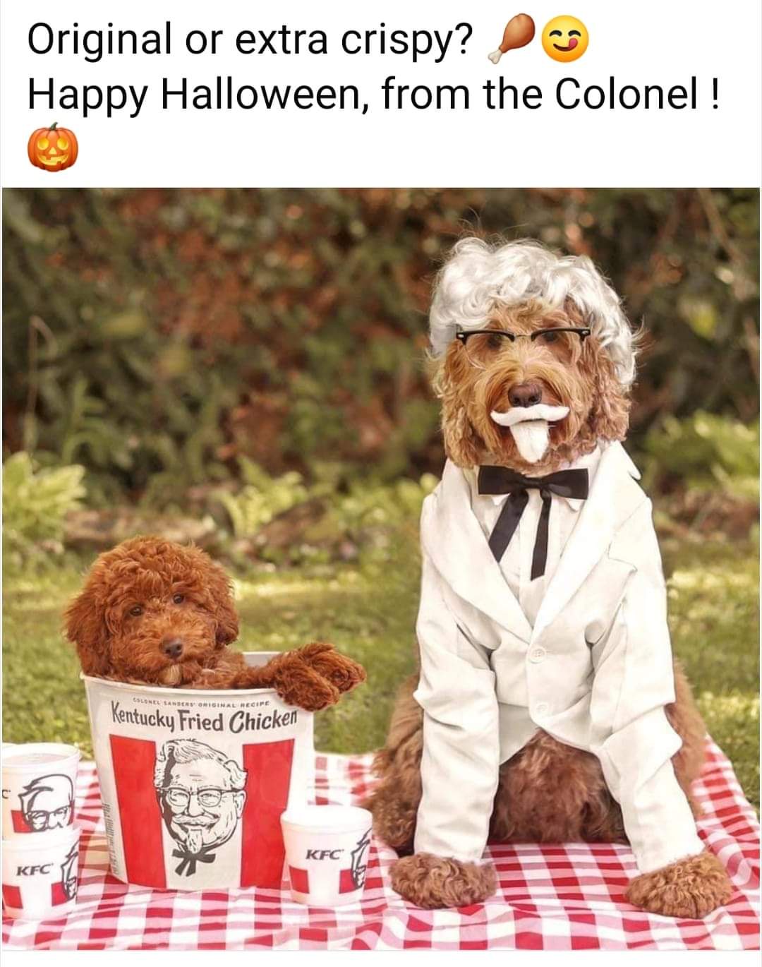 Original Recipe with a Fun Twist: Extra Side of Boops!