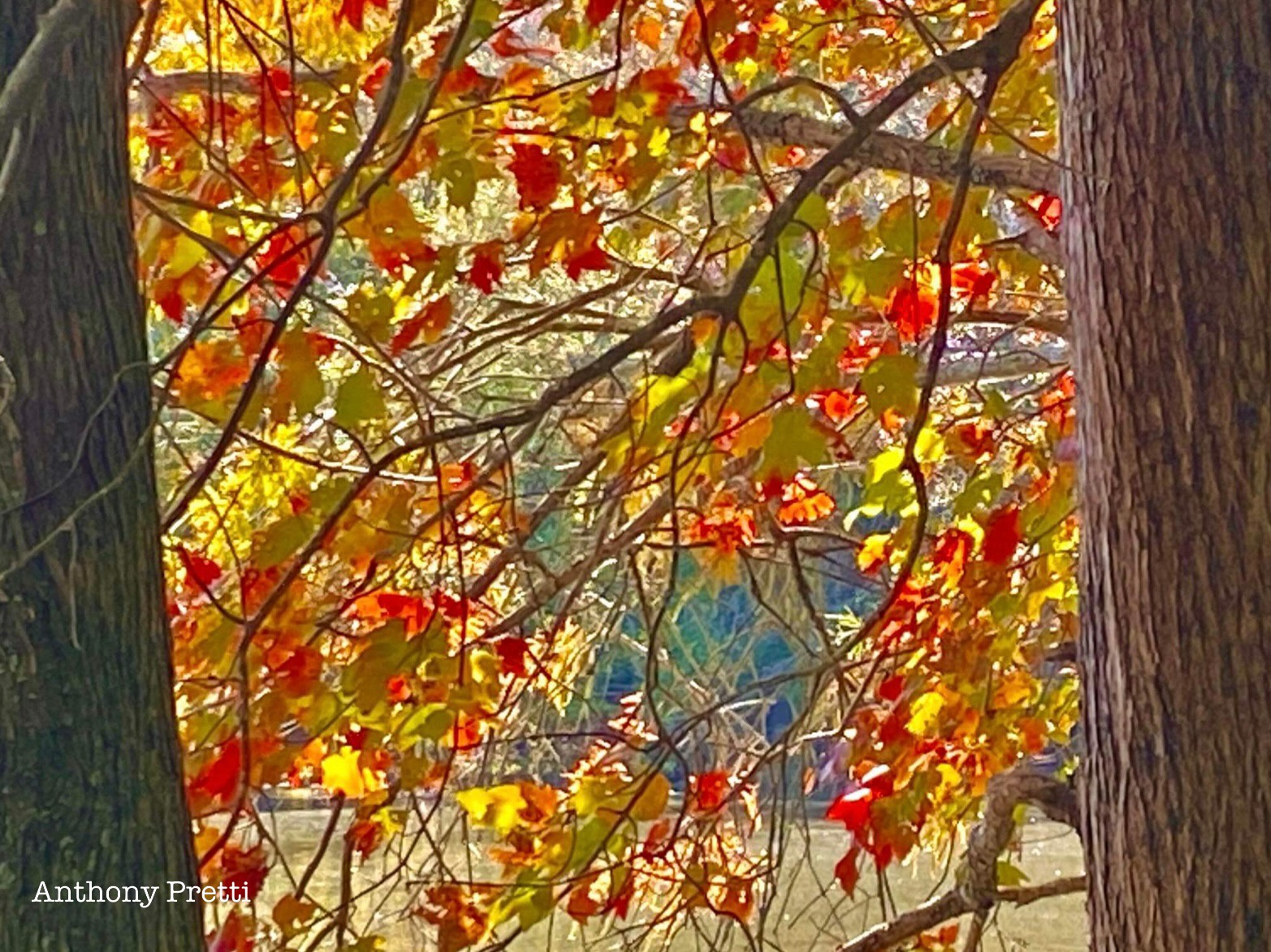 The Beauty of Autumn Unveiled