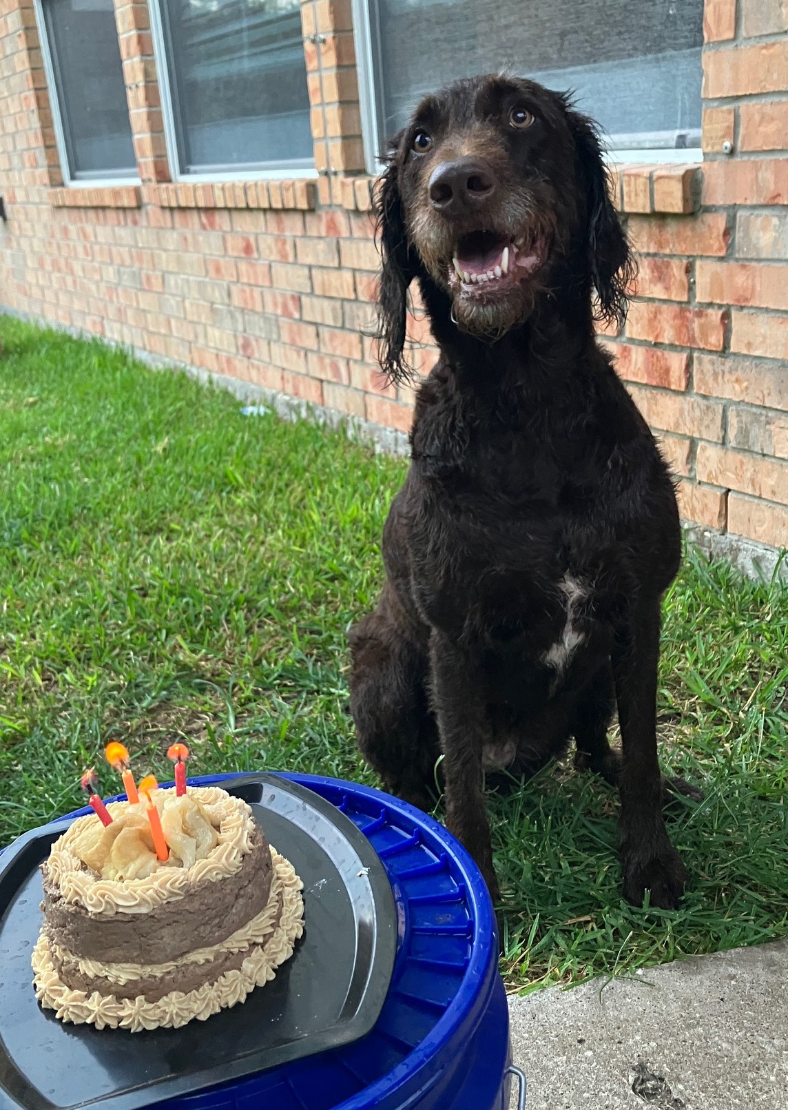 Celebrating 4 years of joy! Happy Birthday!