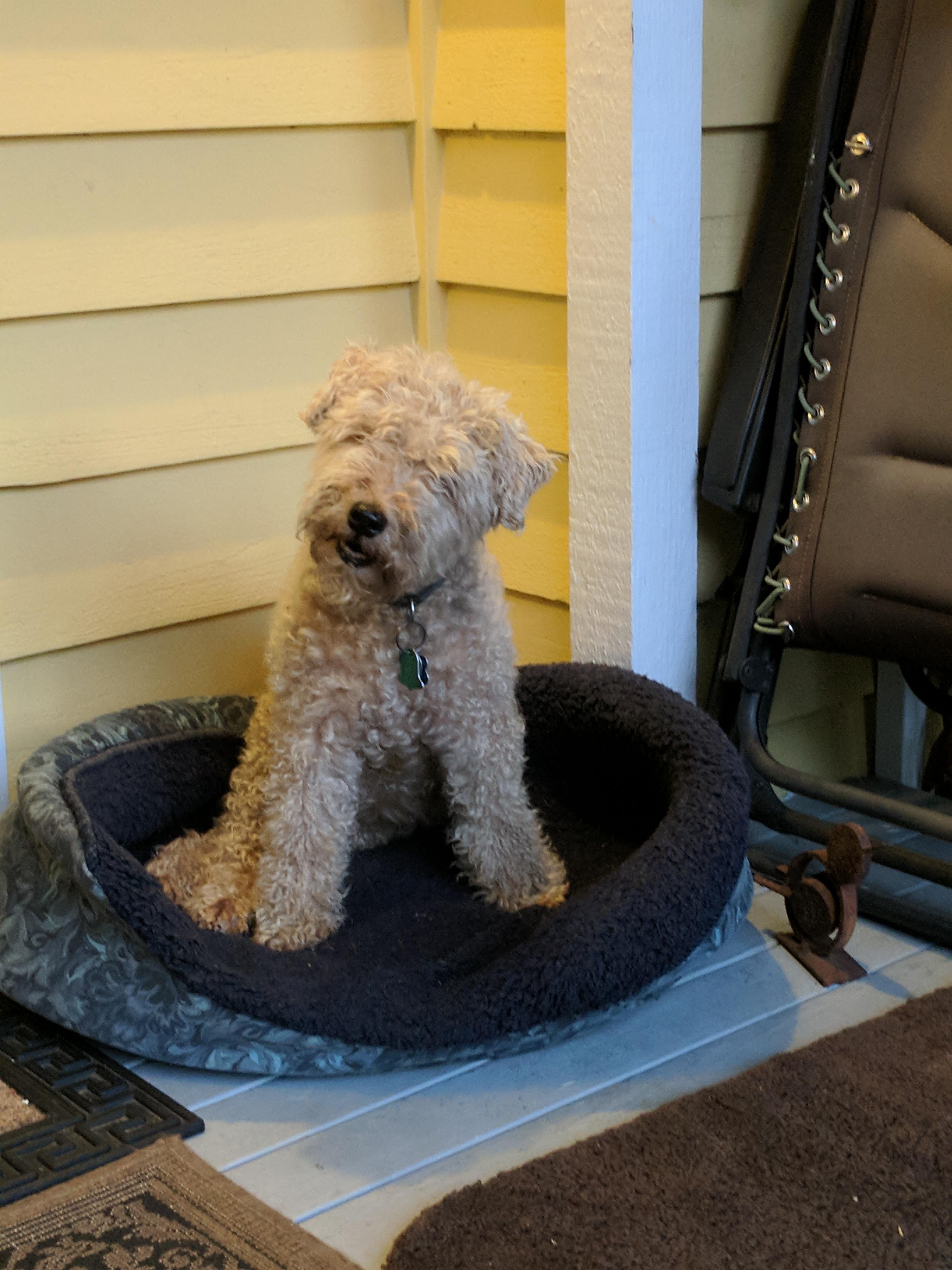 Celebrating 13 Years of Cakeday Today!