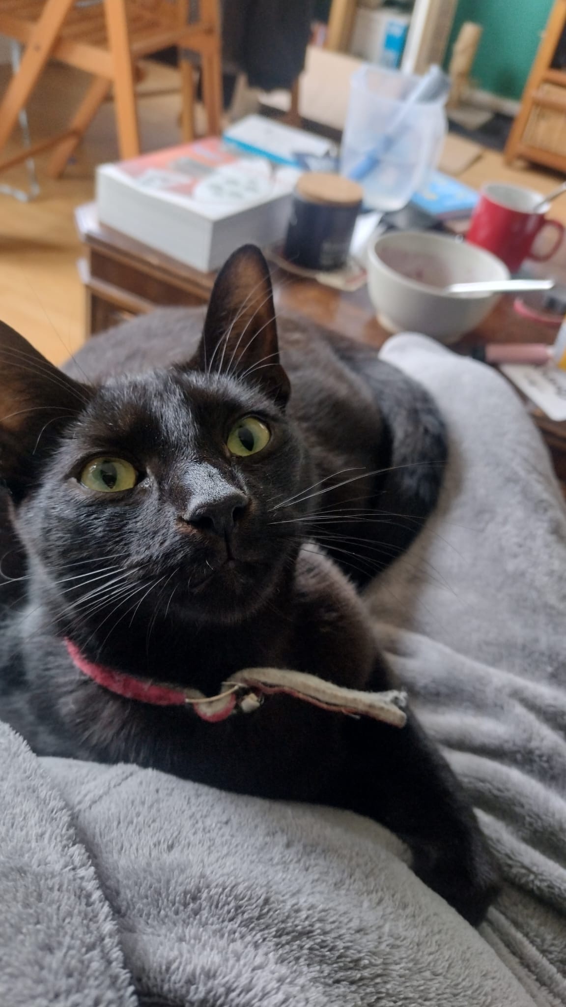 So charming and affectionate!