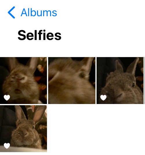 Welcome to Hugh Bun's account, where the fun never stops!