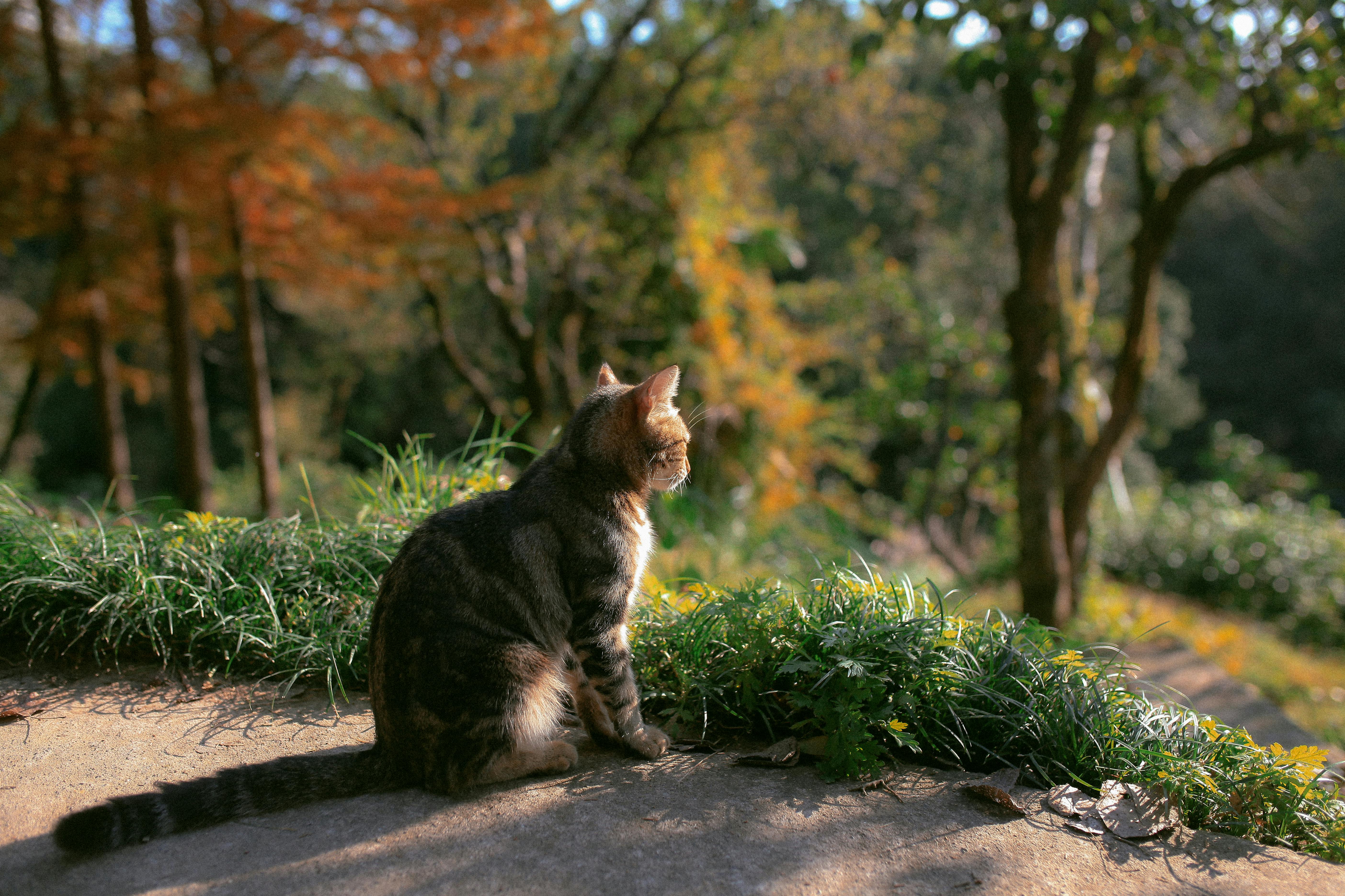 Taking a moment to soak in the beauty of nature.