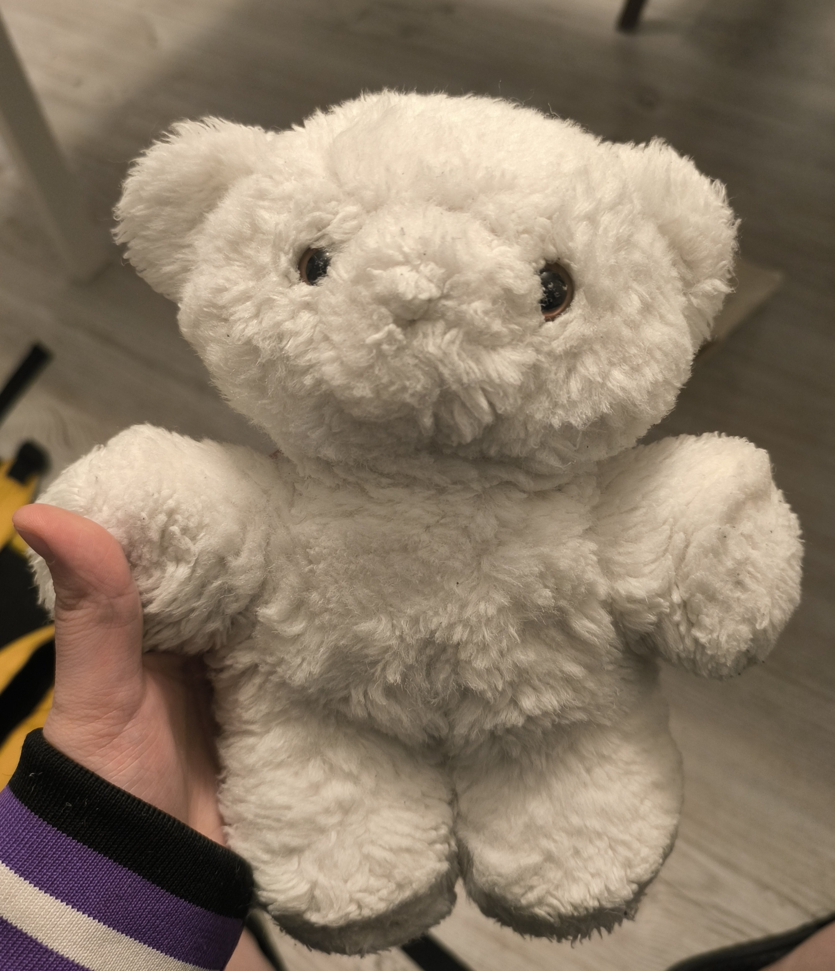 Meet Katarzynka: The Adorable Teddy Bear