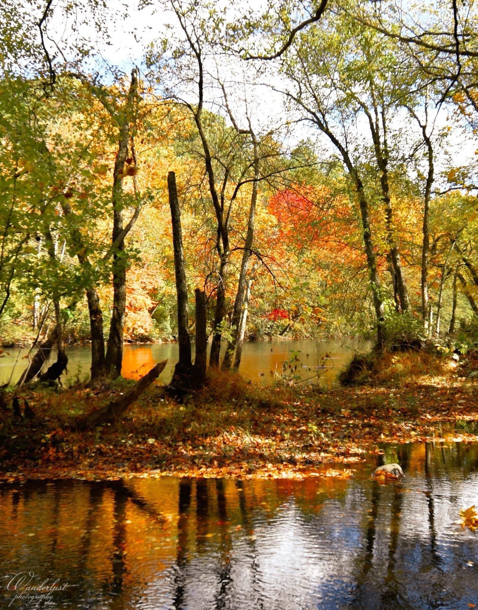 Embracing the beauty of autumn.