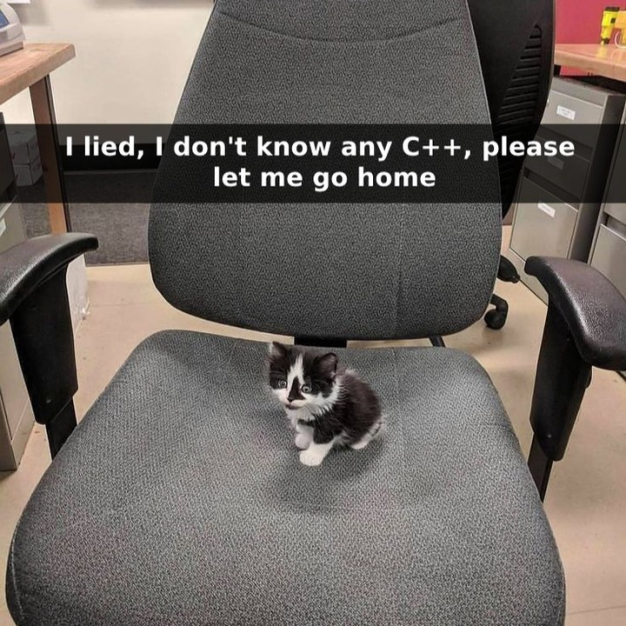 The Intricacies of C++: A Programmer's Playground