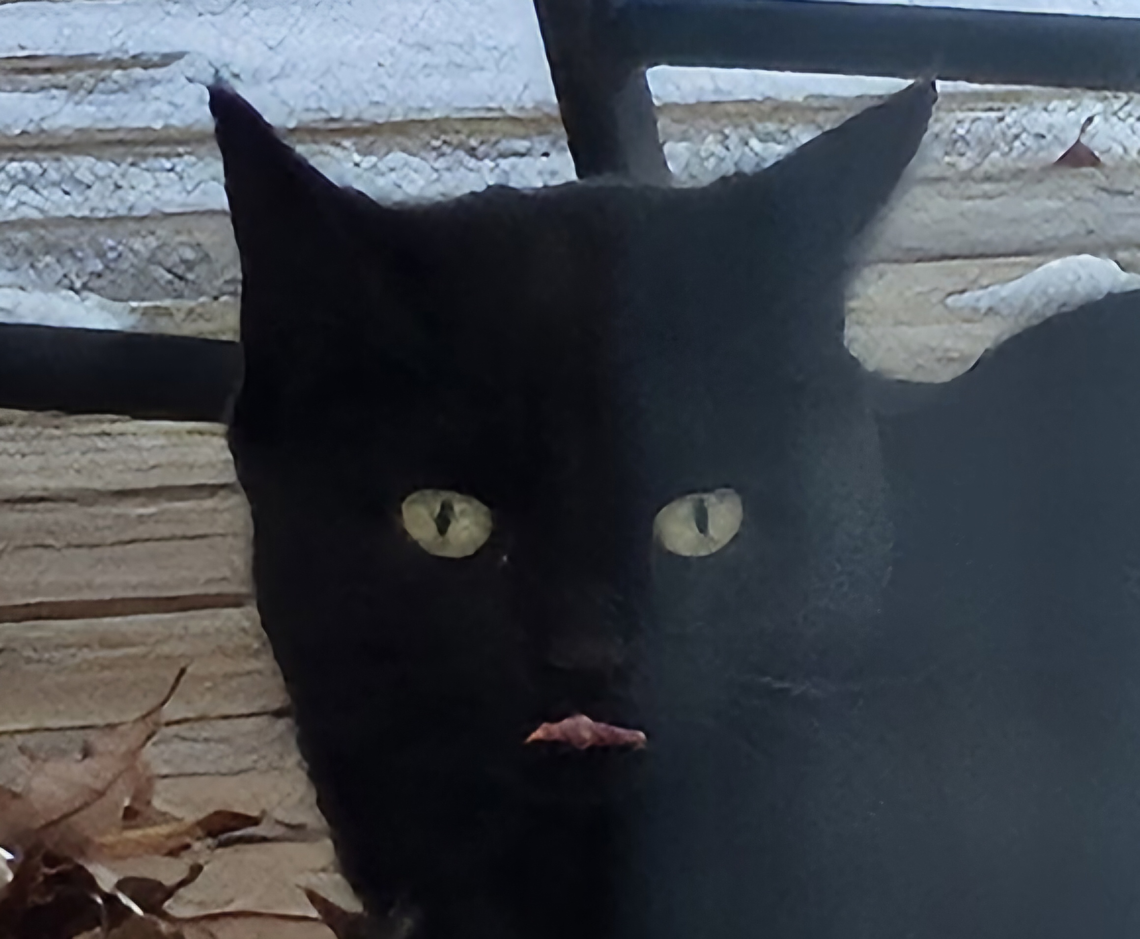 The Mleming Abyss: A Deep Dive