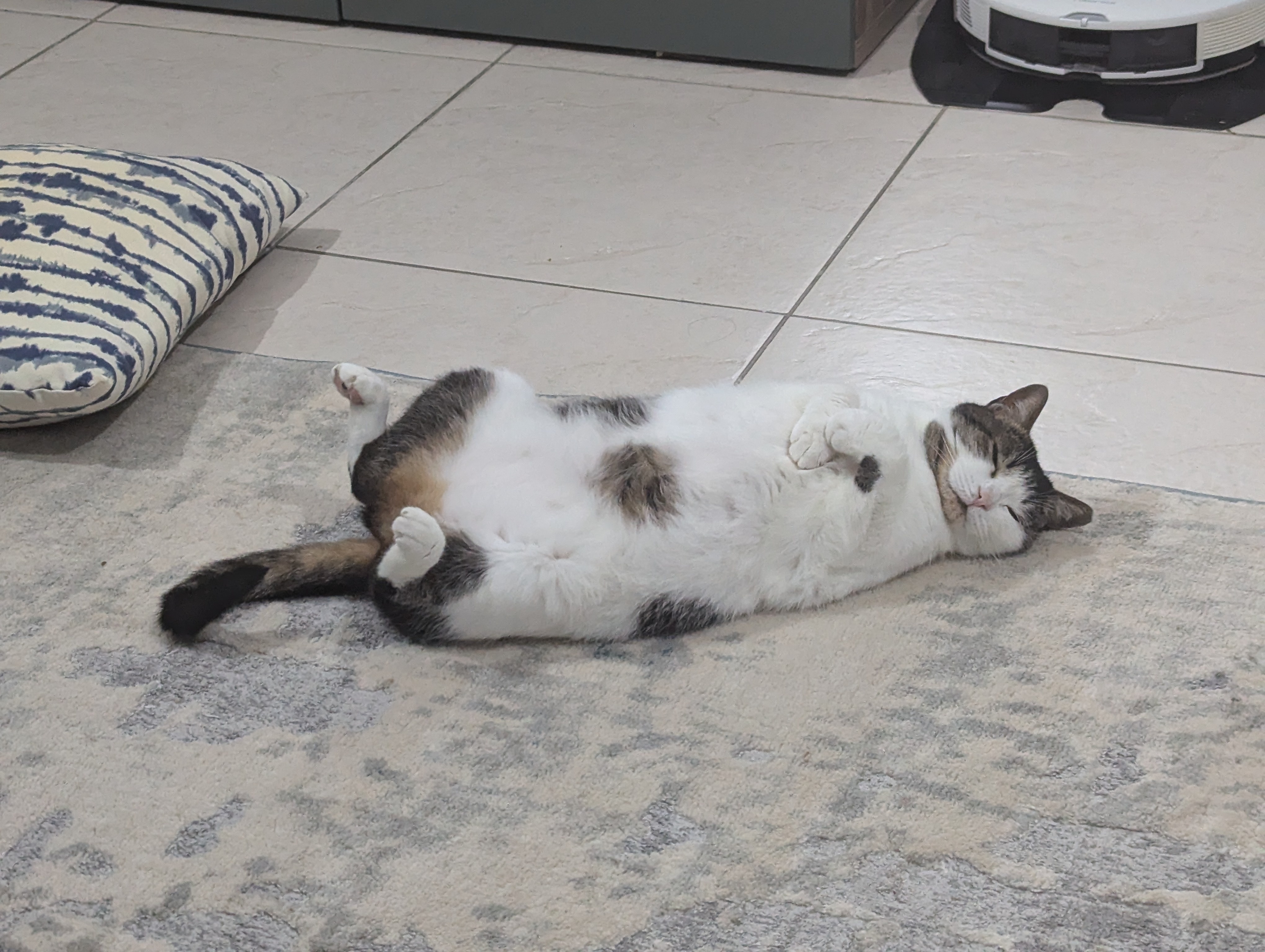 The Adorable Way She Sleeps: A Must-See!