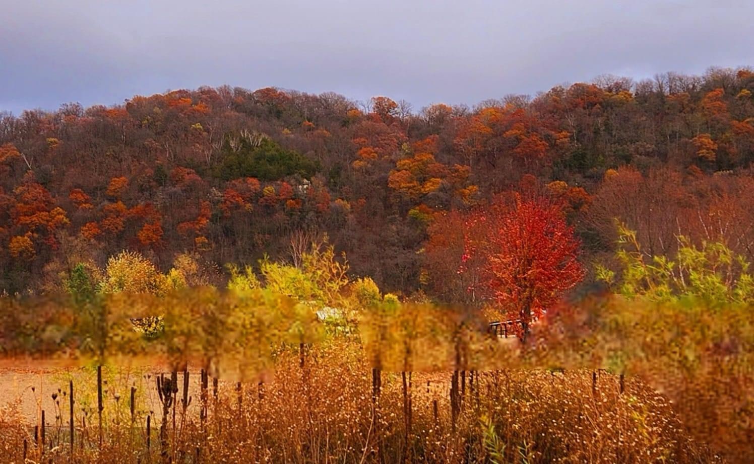 Embracing the Beauty of Autumn