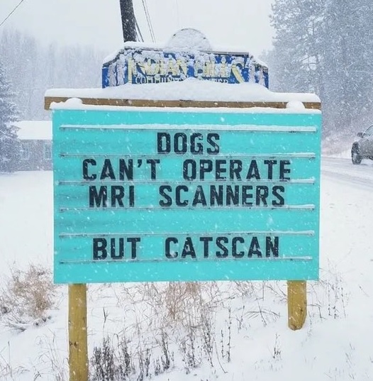A Chill Pun to Warm Your Heart
