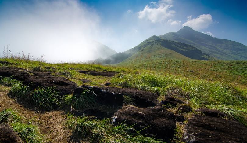 Exploring the Beauty of Wayanad