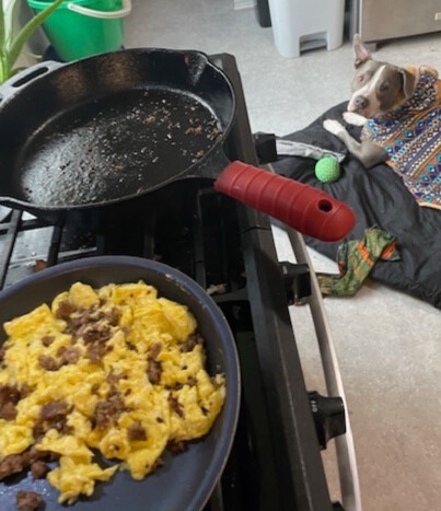 I Told My Partner I Forgot Dog Food, So I Whipped Up Breakfast Instead – Plus, Frank's New Coat Makes Him Look Like Lloyd Christmas!