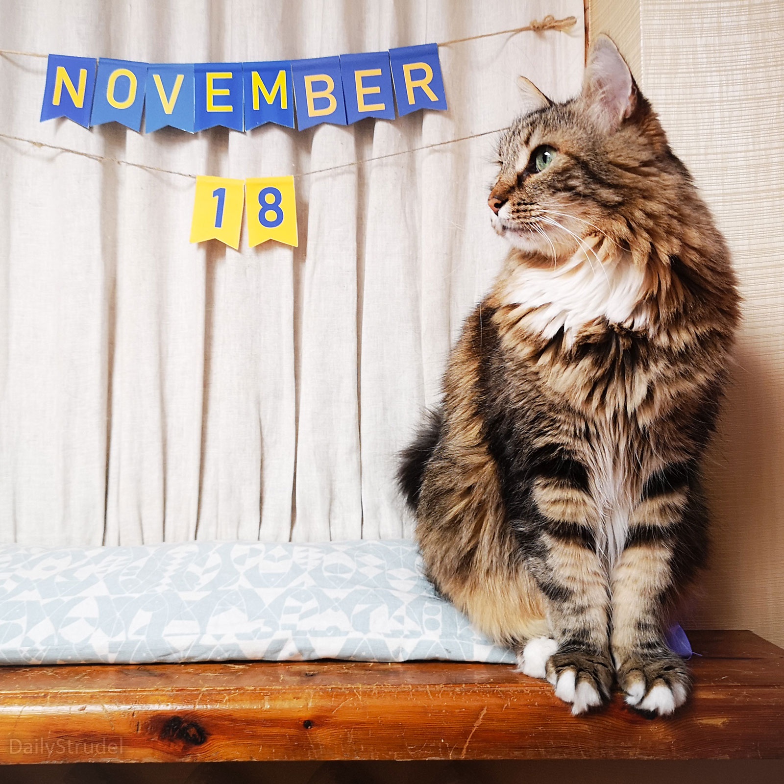 Remembering November 18