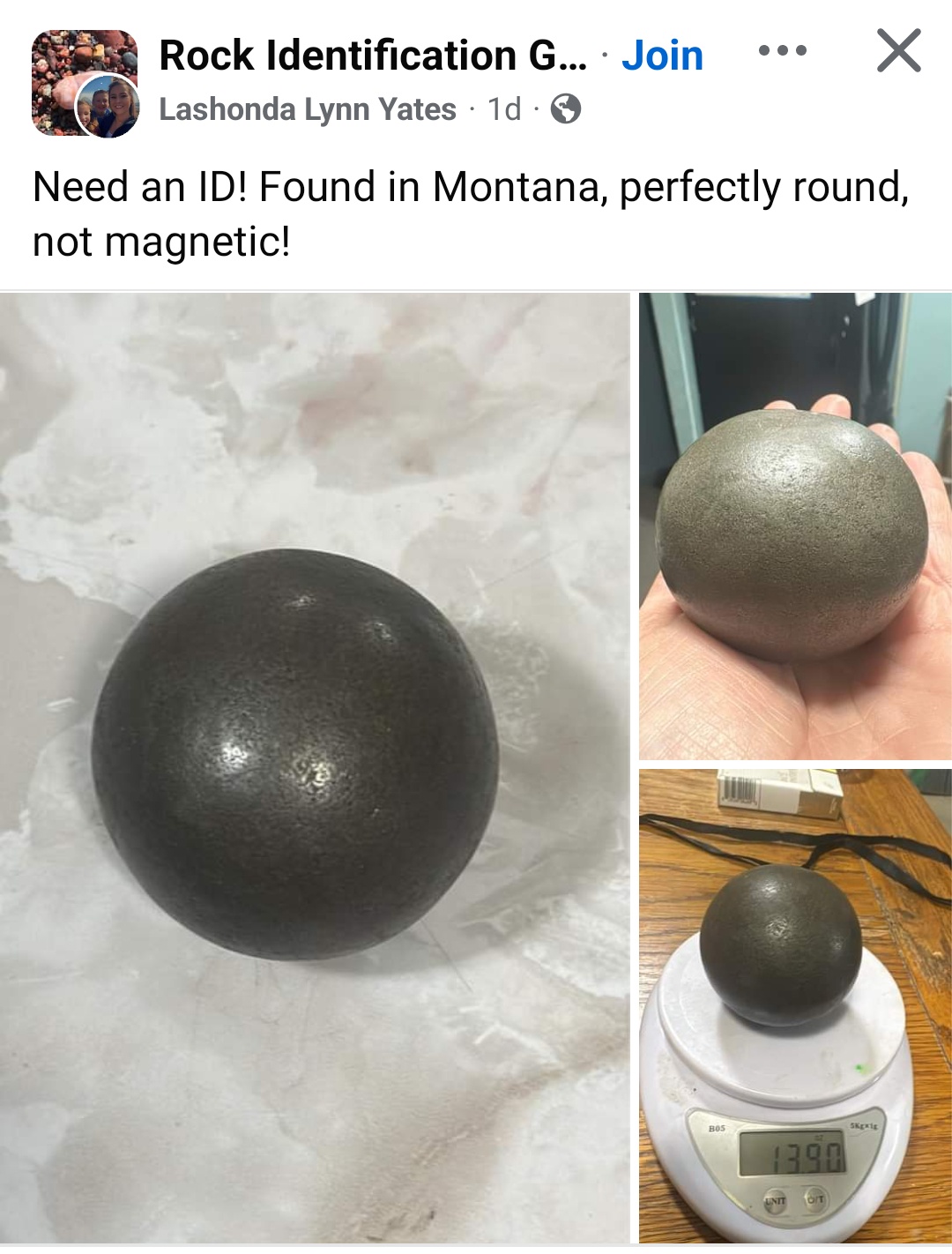 Has Anyone Seen My Tungsten-Encased Snail? It's Gone Missing!