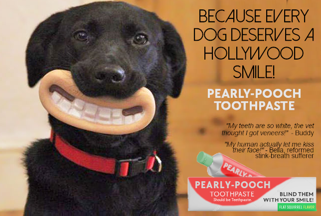 A Special Message from Our Sponsor: Pearly-Pooch Toothpaste