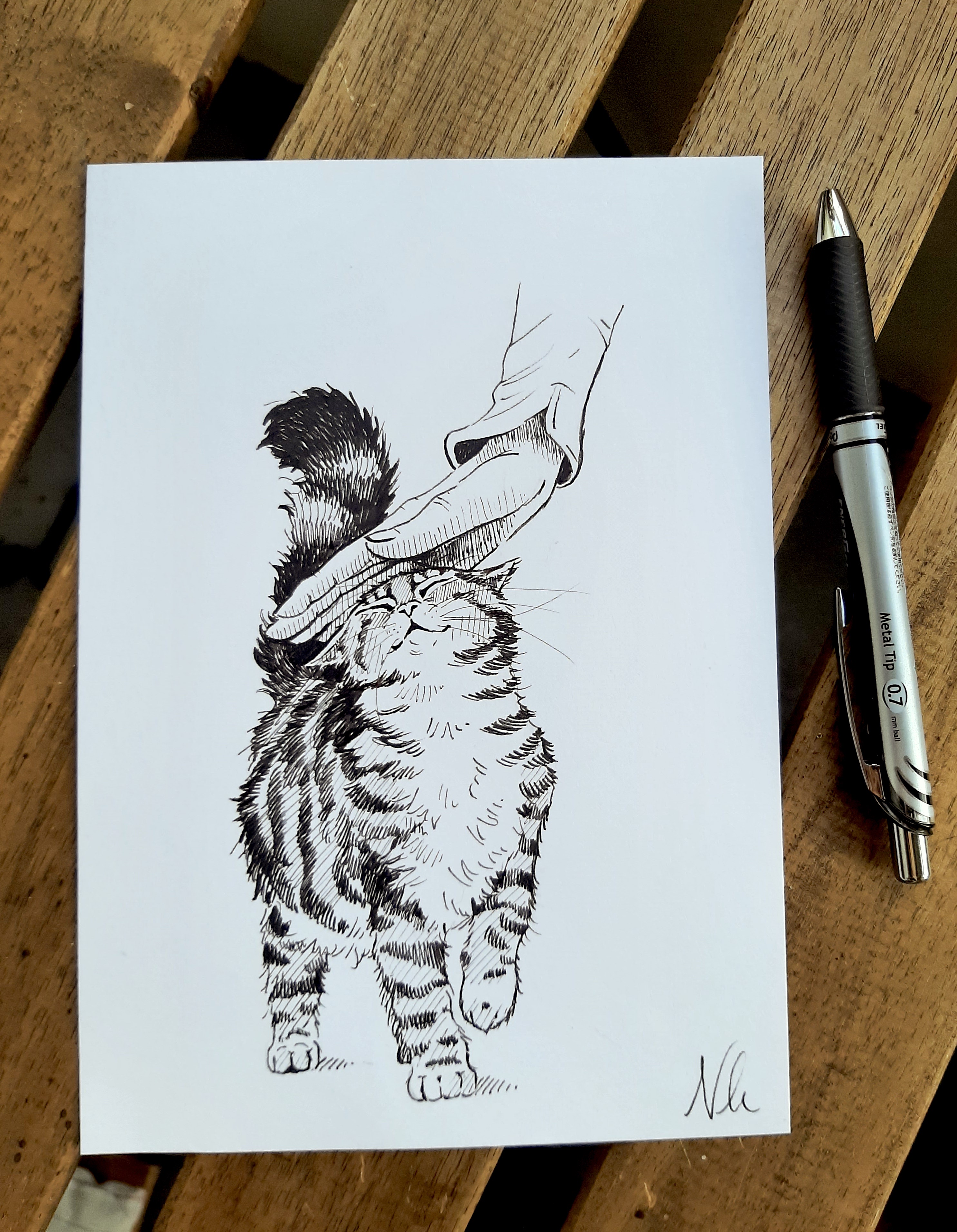 I Sketched a Cute Little Tabby Cat