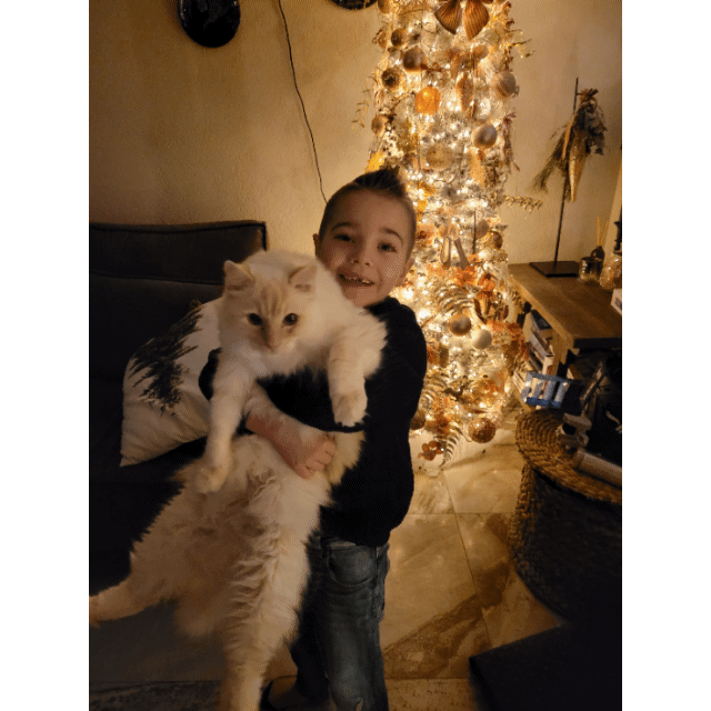 Farewell to My Beloved Fluffy Companion