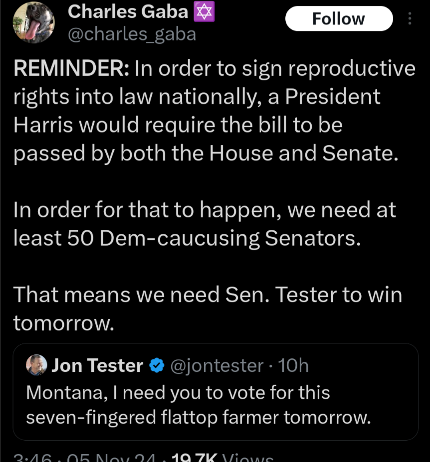 Don't Forget to Vote: Stand Up for Women's Rights and Make Your Voice Heard!