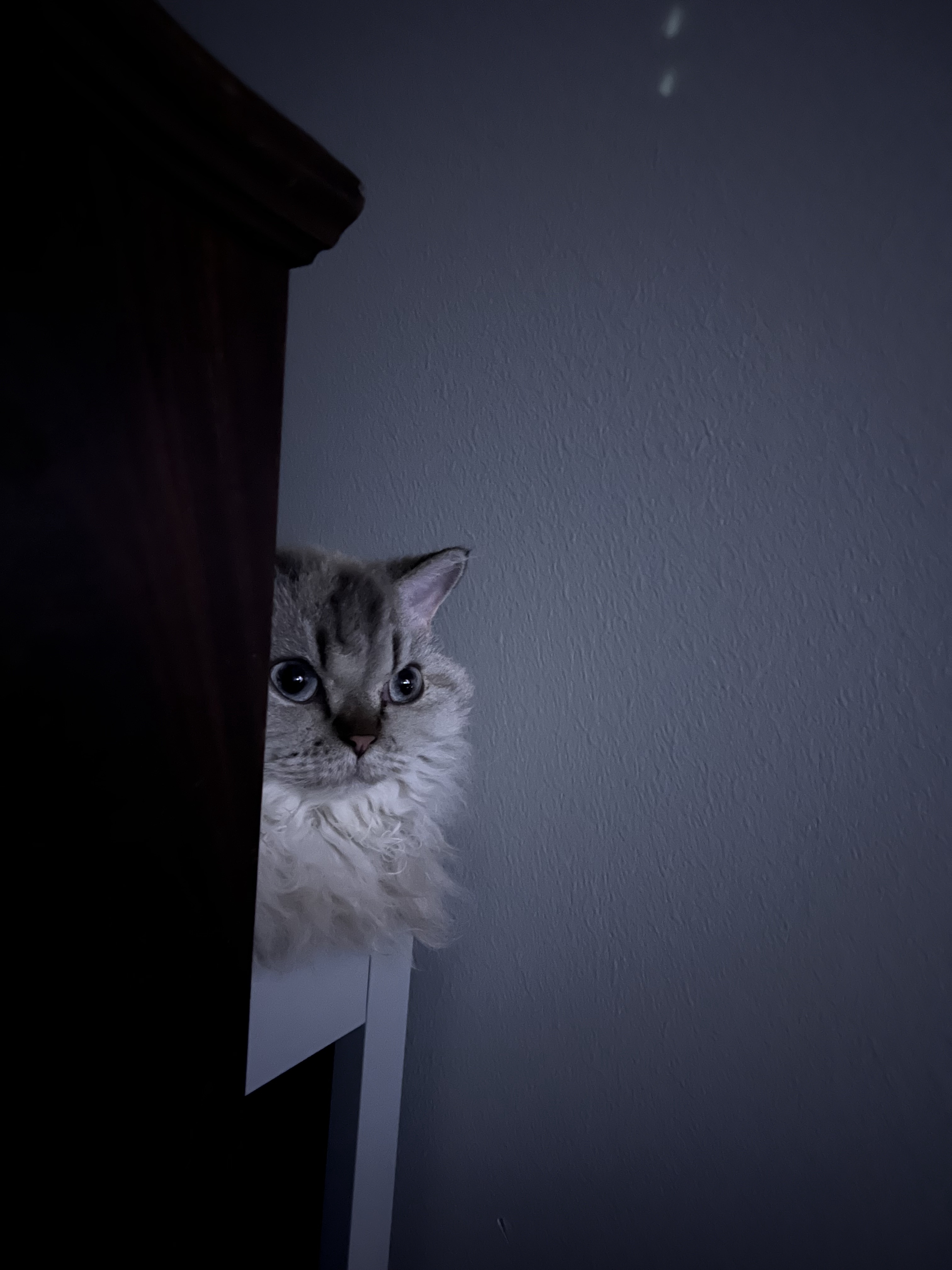 Embracing the Shadows: The Essence of Darkness