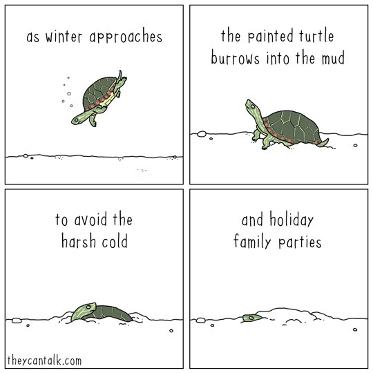 This is my spirit animal!