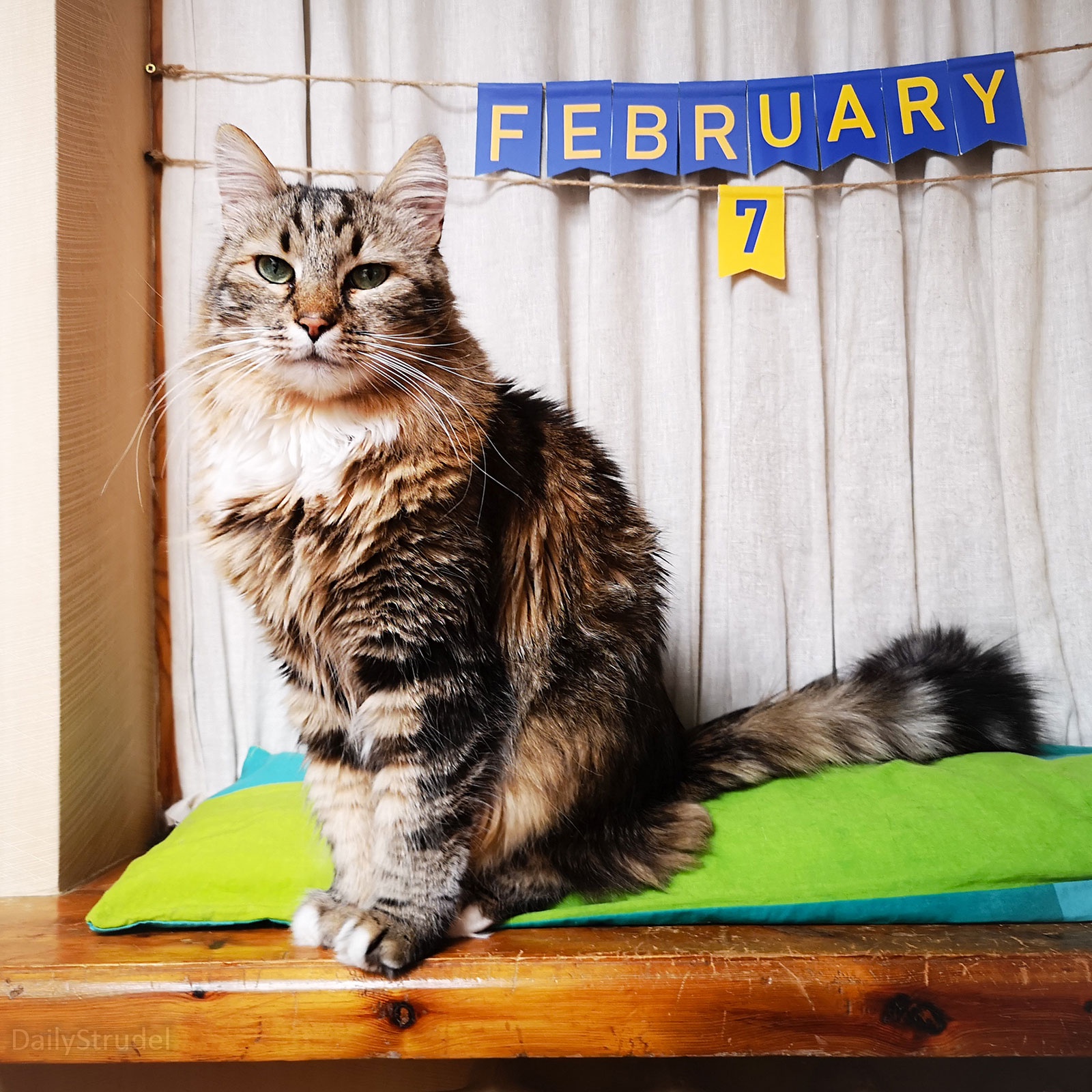 Mark Your Calendars: February 7th