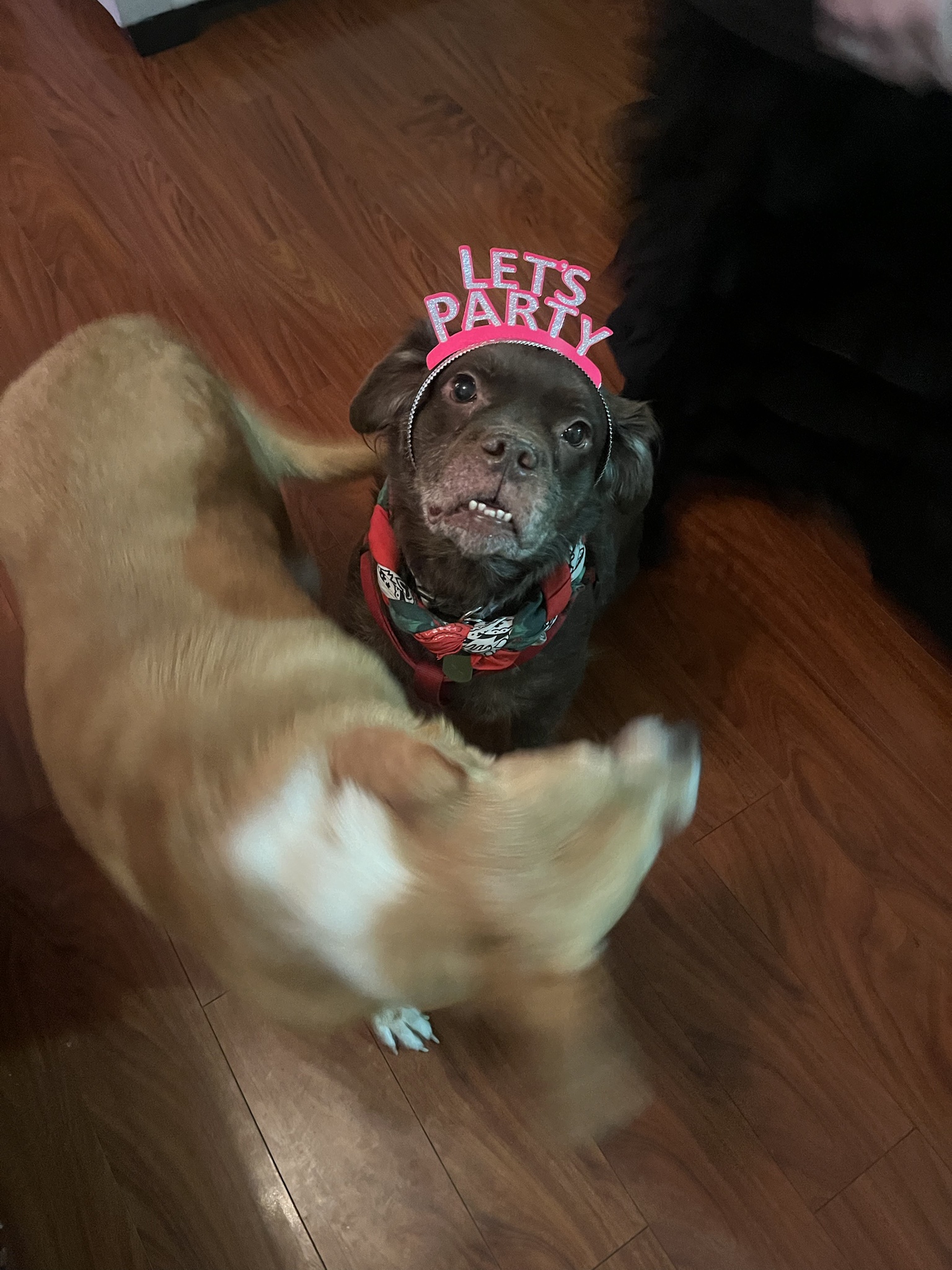 Hey You, Let’s Get This Party Started! :)