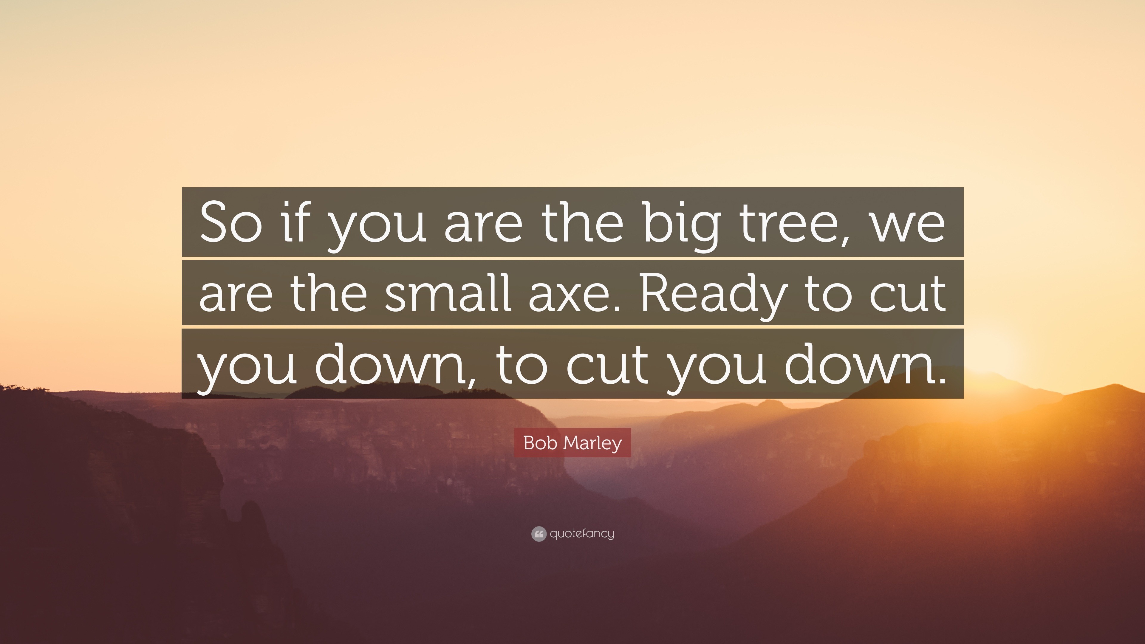 We are the small but mighty axe...