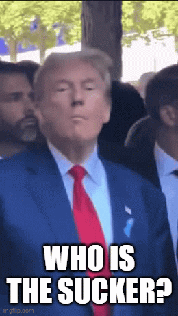 Hey MAGA! What's the current price of eggs?